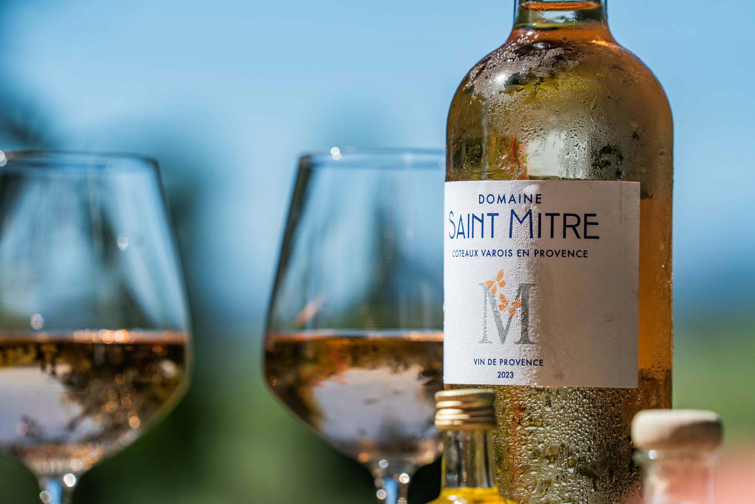 DOMAINE_SAINT_MITRE-308