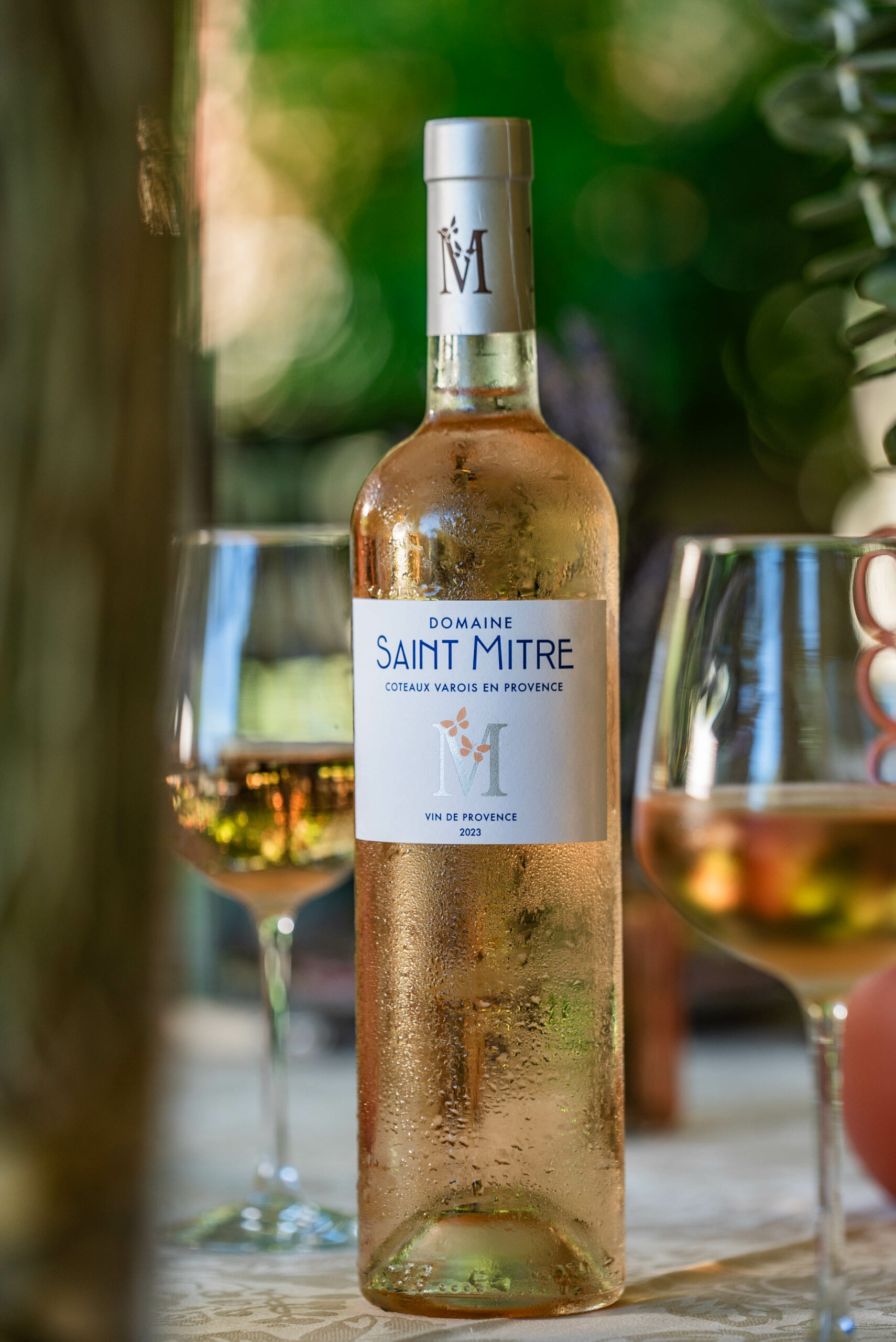 DOMAINE_SAINT_MITRE-297