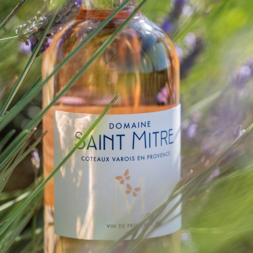 DOMAINE_SAINT_MITRE-233